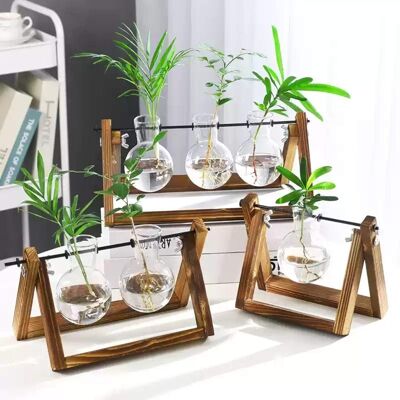 Glass Planter Bulb Vase with Wooden Stand