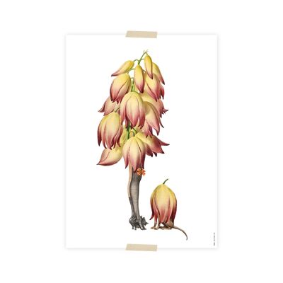 Postcard flower with legs