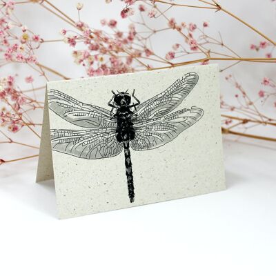 Tarjeta mini de papel hierba, libélula