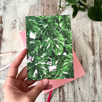 Carte postale / Affiche A6 - Feuilles de Monstera deliciosa 2