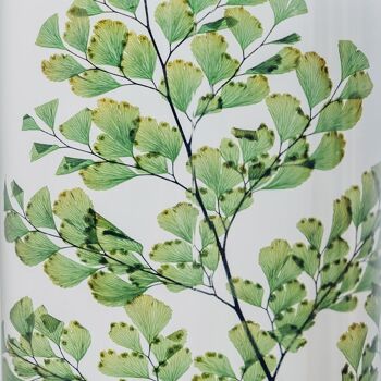 L'Herbarium de Théophile - Fougère Luthi verte - plante immergée 2