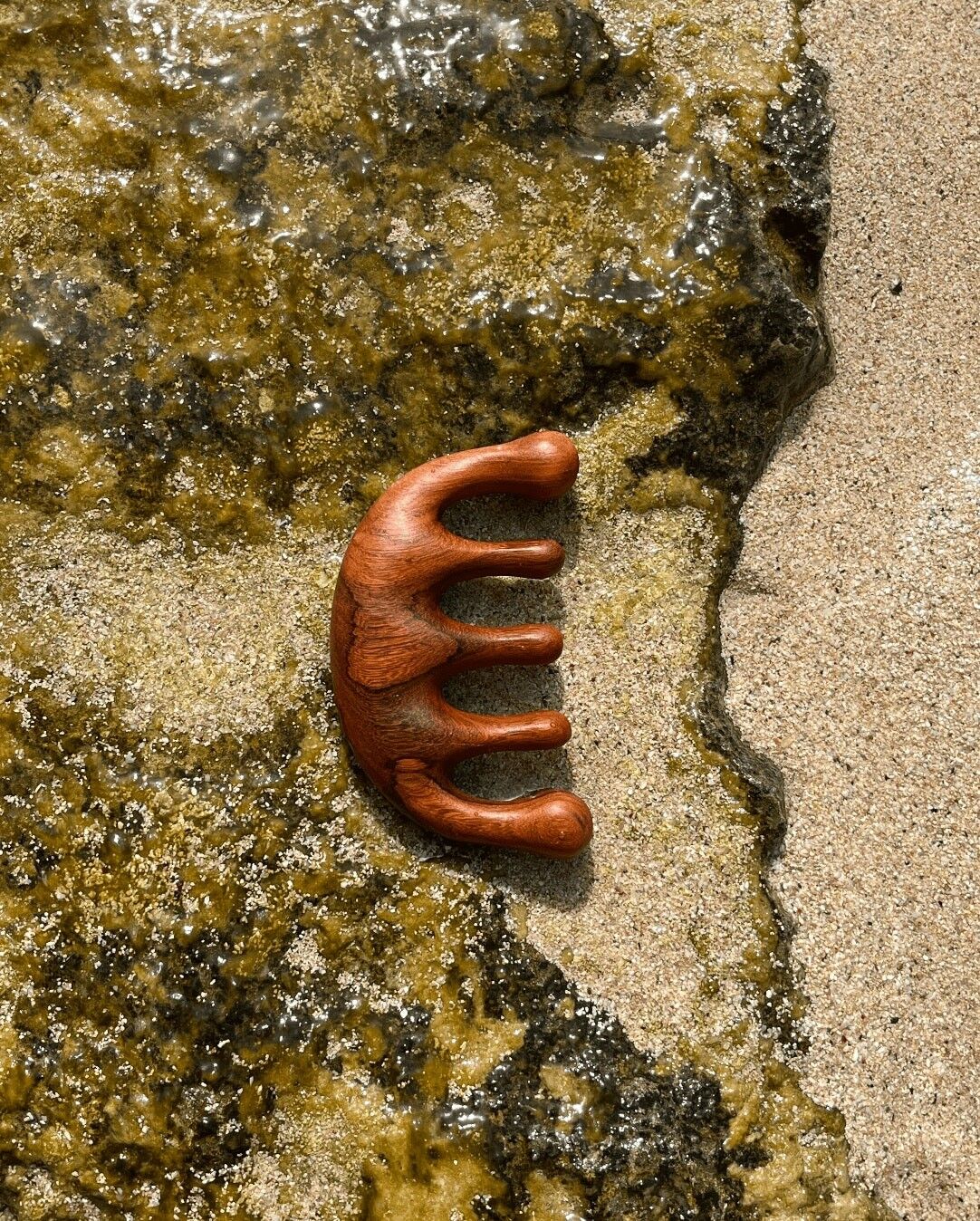 Cuoio Capelluto Gua Sha