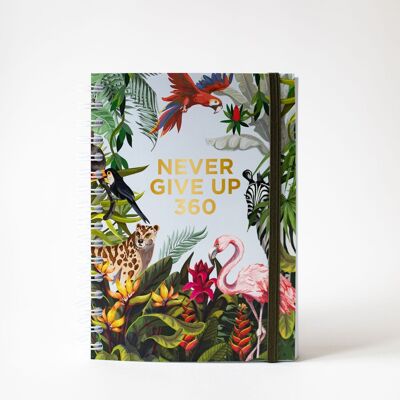 Never Give Up 360 - Jungle