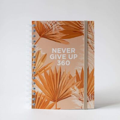 Never Give Up 360 - Pampas