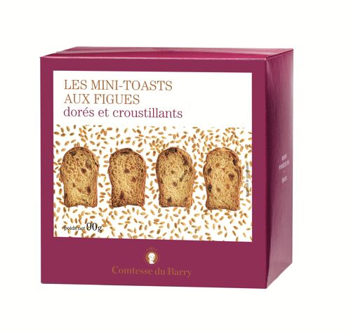 Mini toasts aux figues