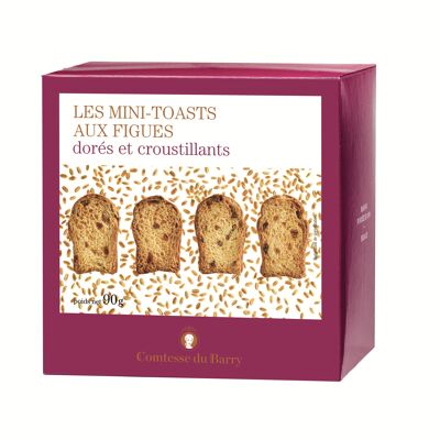 Mini toasts aux figues