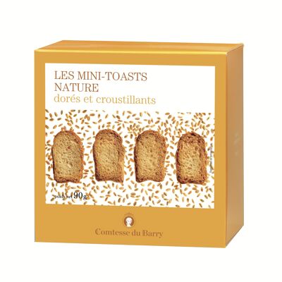 Toasts nature 90g