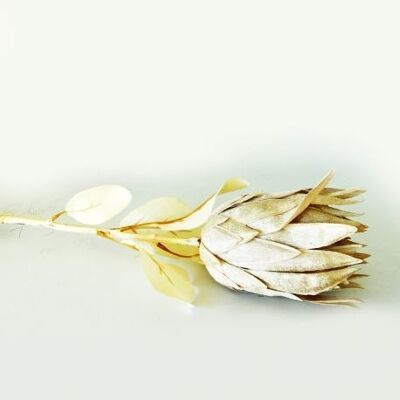 Prothea cream 73 cm - ARTIFICIAL FLOWERS / FLOWER ARRANGEMENTS