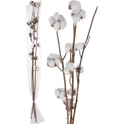 Fleur de coton naturelle - 90cm