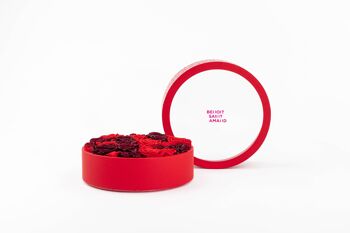 Coffret de fleurs préservées - Objet de décoration florale - Boite Rouge Taille L 4