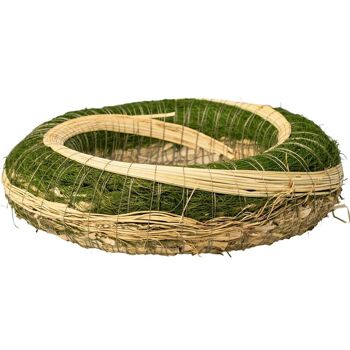 Couronne de foin recouverte de sisal base décorée de sorgho 25cm/5cm - Vert 2