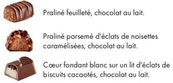 Papillotes chocolats au Lait  300g, Révillon 2