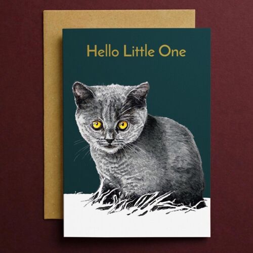 Hello Kitten Cards