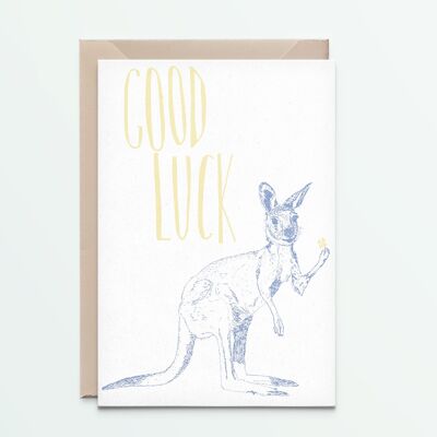Good luck Kangaroo