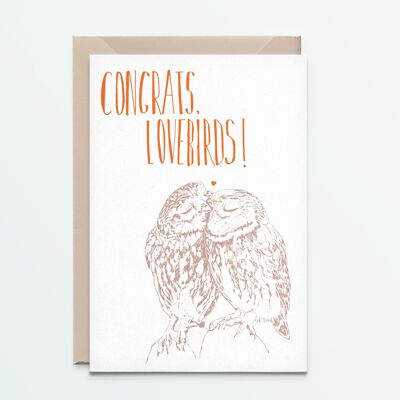 Lovebirds Little owls