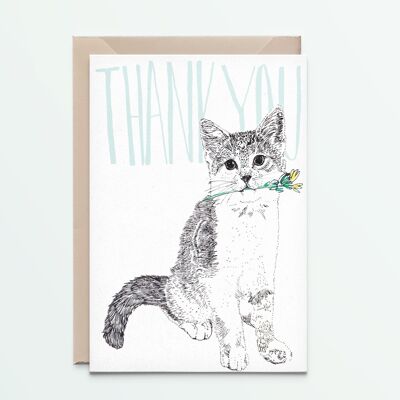 Thank you Cat