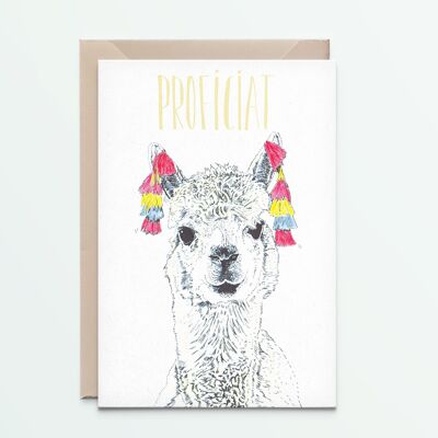 Alpaca