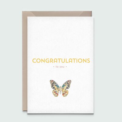 Butterfly – Congrats