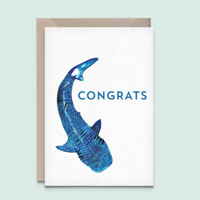 Whaleshark – congrats