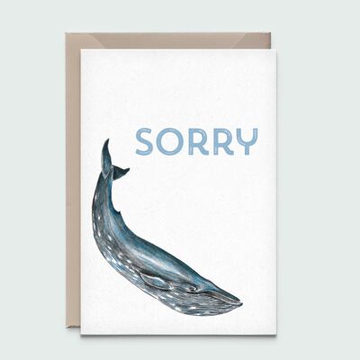 Whale – Sorry