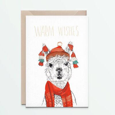 winter alpaca