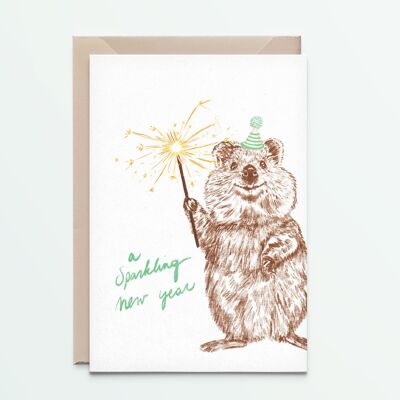 quokka newyear