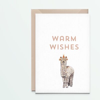 alpaca warm wishes