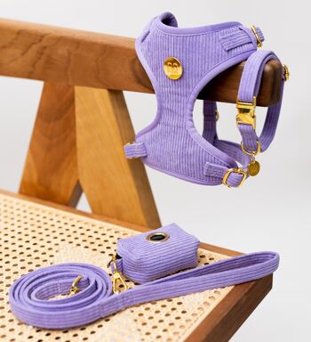 COLLIER POUR CHIEN PASTEL LILAS 3