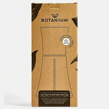 Botanium - Gris cendré (paquet de 6) 4