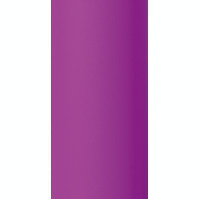 QUOKKA STAINLESS STEEL THERMOS BOTTLE SOLID PURPLE 850 ML