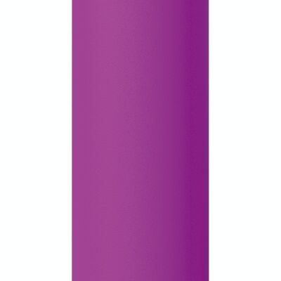 QUOKKA BOTTIGLIA THERMOS IN ACCIAIO INOSSIDABILE SOLIDO VIOLA 850 ML