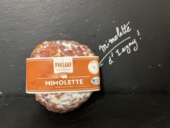 Saucisson sec (sans peau) à la mimolette 2