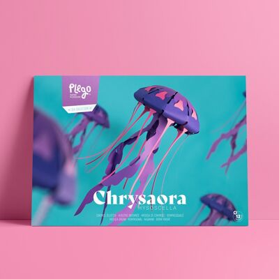 CHRYSAORA Kit di figure di carta