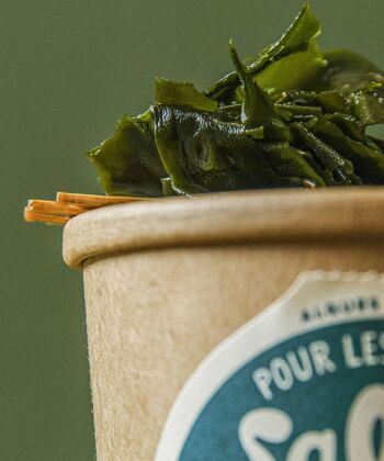 Salade d'algues à la japonaise,  l'en-cas végétal bio, bon et durable prêt en 5 minutes ! Format pot. 3