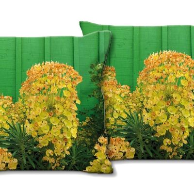 Deko-Foto-Kissen Set (2 Stk.), Motiv: Blüte 3 - Größe: 40 x 40 cm - Premium Kissenhülle, Zierkissen, Dekokissen, Fotokissen, Kissenbezug