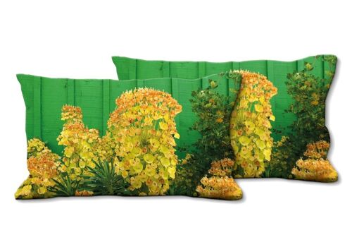 Deko-Foto-Kissen Set (2 Stk.), Motiv: Blüte 3 - Größe: 80 x 40 cm - Premium Kissenhülle, Zierkissen, Dekokissen, Fotokissen, Kissenbezug