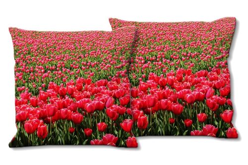 Deko-Foto-Kissen Set (2 Stk.), Motiv: Tulpenmeer 2 - Größe: 40 x 40 cm - Premium Kissenhülle, Zierkissen, Dekokissen, Fotokissen, Kissenbezug