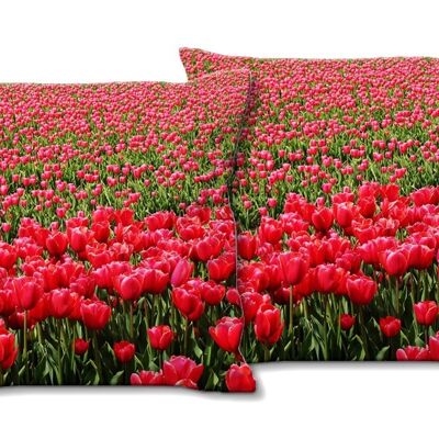 Set di cuscini fotografici decorativi (2 pezzi), motivo: Sea of Tulips 2 - Dimensioni: 40 x 40 cm - Fodera per cuscino premium, cuscino decorativo, cuscino decorativo, cuscino fotografico, fodera per cuscino