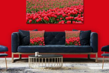Ensemble de coussins photo décoratifs (2 pièces), motif : Mer de tulipes 2 - Taille : 40 x 40 cm - Housse de coussin premium, coussin décoratif, coussin déco, coussin photo, housse de coussin 4