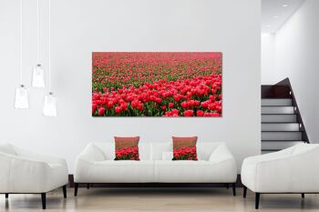 Ensemble de coussins photo décoratifs (2 pièces), motif : Mer de tulipes 2 - Taille : 40 x 40 cm - Housse de coussin premium, coussin décoratif, coussin déco, coussin photo, housse de coussin 6