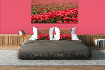 Ensemble de coussins photo décoratifs (2 pièces), motif : Mer de tulipes 2 - Taille : 40 x 40 cm - Housse de coussin premium, coussin décoratif, coussin déco, coussin photo, housse de coussin 7