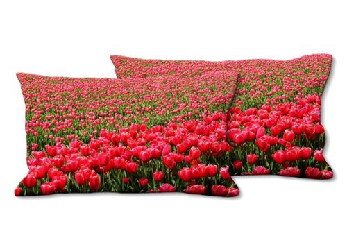 Deko-Foto-Kissen Set (2 Stk.), Motiv: Tulpenmeer 2 - Größe: 80 x 40 cm - Premium Kissenhülle, Zierkissen, Dekokissen, Fotokissen, Kissenbezug