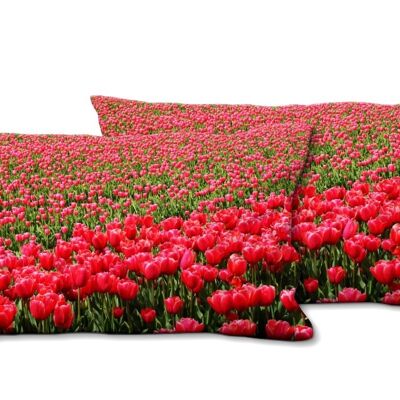Deko-Foto-Kissen Set (2 Stk.), Motiv: Tulpenmeer 2 - Größe: 80 x 40 cm - Premium Kissenhülle, Zierkissen, Dekokissen, Fotokissen, Kissenbezug