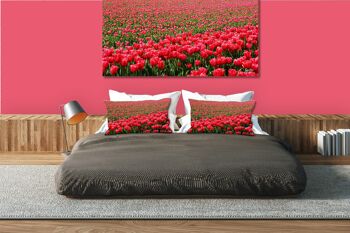 Ensemble de coussins photo décoratifs (2 pièces), motif : Mer de tulipes 2 - Taille : 80 x 40 cm - Housse de coussin premium, coussin décoratif, coussin déco, coussin photo, housse de coussin 2