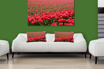 Ensemble de coussins photo décoratifs (2 pièces), motif : Mer de tulipes 2 - Taille : 80 x 40 cm - Housse de coussin premium, coussin décoratif, coussin déco, coussin photo, housse de coussin 3