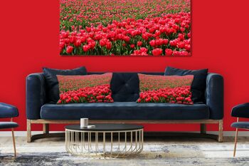 Ensemble de coussins photo décoratifs (2 pièces), motif : Mer de tulipes 2 - Taille : 80 x 40 cm - Housse de coussin premium, coussin décoratif, coussin déco, coussin photo, housse de coussin 5