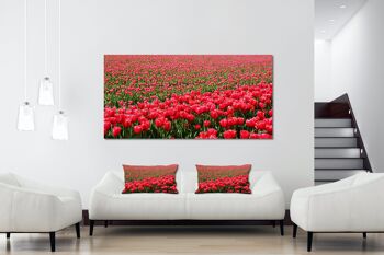 Ensemble de coussins photo décoratifs (2 pièces), motif : Mer de tulipes 2 - Taille : 80 x 40 cm - Housse de coussin premium, coussin décoratif, coussin déco, coussin photo, housse de coussin 6