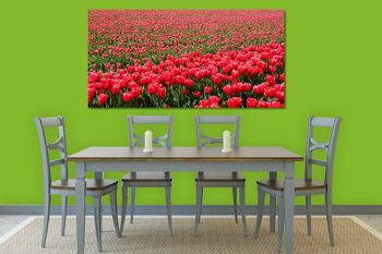 Papier peint : Sea of Tulips 2 - format paysage 2:1 - nombreuses tailles et matériaux - motif d'art photographique exclusif sous forme d'image sur toile ou d'image en verre acrylique pour la décoration murale 4