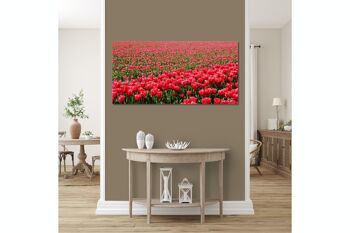 Papier peint : Sea of Tulips 2 - format paysage 2:1 - nombreuses tailles et matériaux - motif d'art photographique exclusif sous forme d'image sur toile ou d'image en verre acrylique pour la décoration murale 8