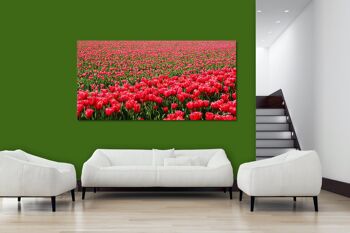 Papier peint : Sea of Tulips 2 - format paysage 2:1 - nombreuses tailles et matériaux - motif d'art photographique exclusif sous forme d'image sur toile ou d'image en verre acrylique pour la décoration murale 9
